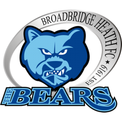 Broadbridge Heath JFC badge